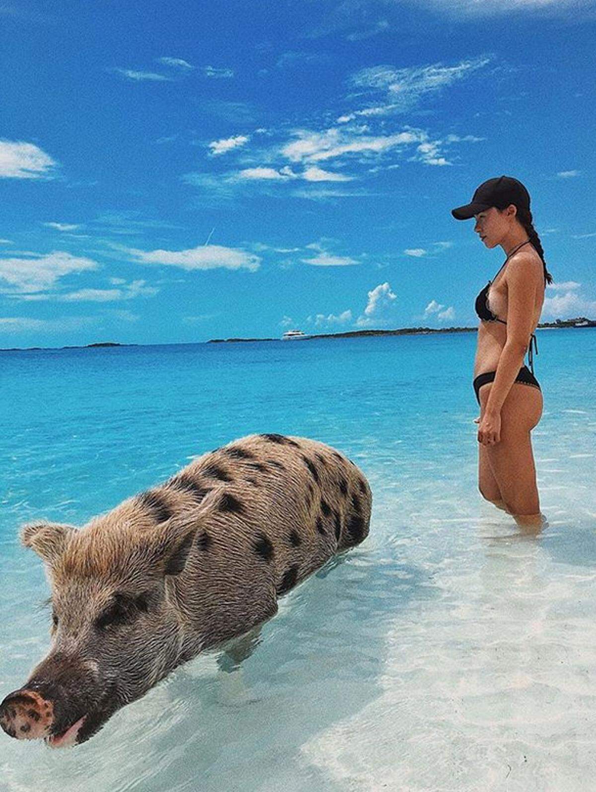 Michelle Hunzikers Tochter Aurora Ramazzotti war die berühmten schwimmenden Schweinchen auf den Bahamas besuchen.
