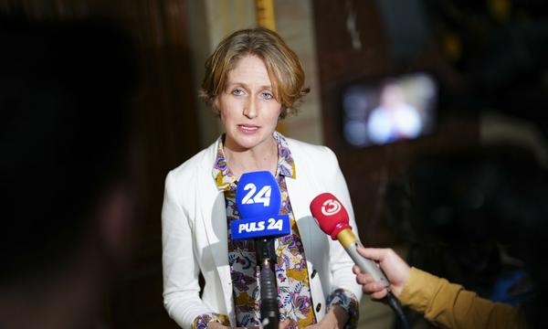 Neos-Fraktionsführerin Stephanie Krisper