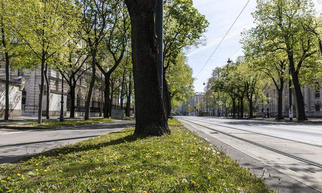 Die gewöhnlich vielbefahrene Wiener Ringstraße soll von den Plänen zur Verkehrsberuhigung nicht betroffen sein. So autofrei wie am Bild war sie nur zur Zeit des Lockdowns im März.