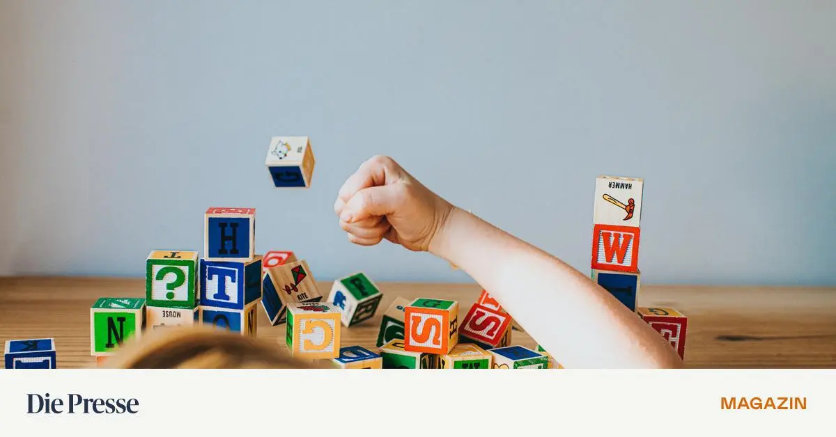 Praktische-Hilfe-f-r-Kindergarten-und-Schule-Wie-Kinder-mit-Wut-umgehen-lernen-premium-