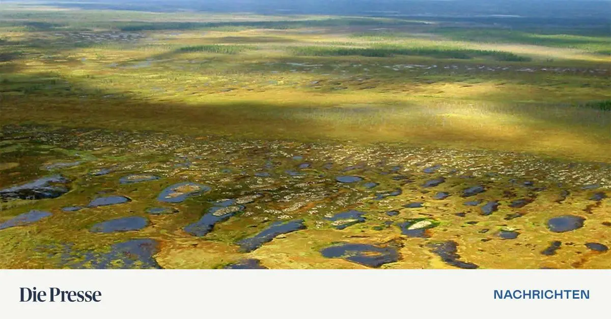 Soil “breathing” leads to a vicious circle in the tundra