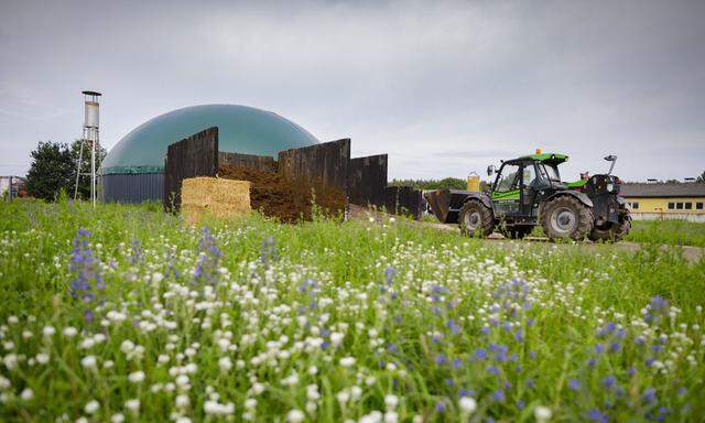 Die Debatte „Teller oder Tank“ war gestern. Heute werden Biogasanlagen nur noch mit agrarischen Reststoffen gespeist.