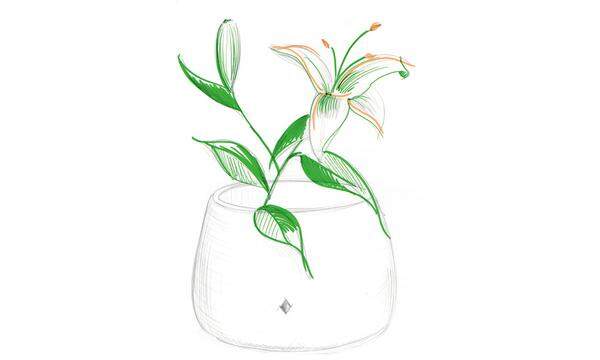 Zweiseitig. Die ­Vase „Lily" rahmt Blumenbouquets.