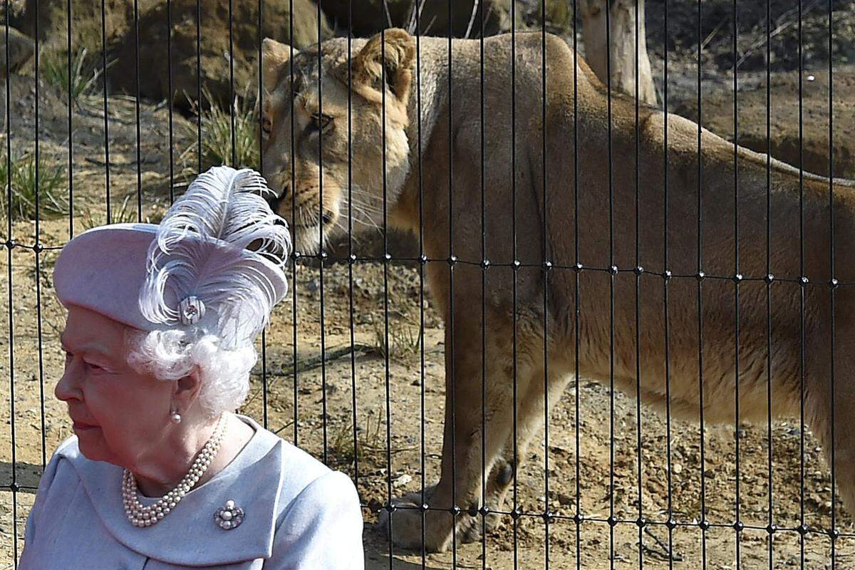 Manche Geschenke, die die Queen bekommt, taugen nicht als Haustiere. Jaguars oder auch Faultiere kommen in den Londoner Zoo.