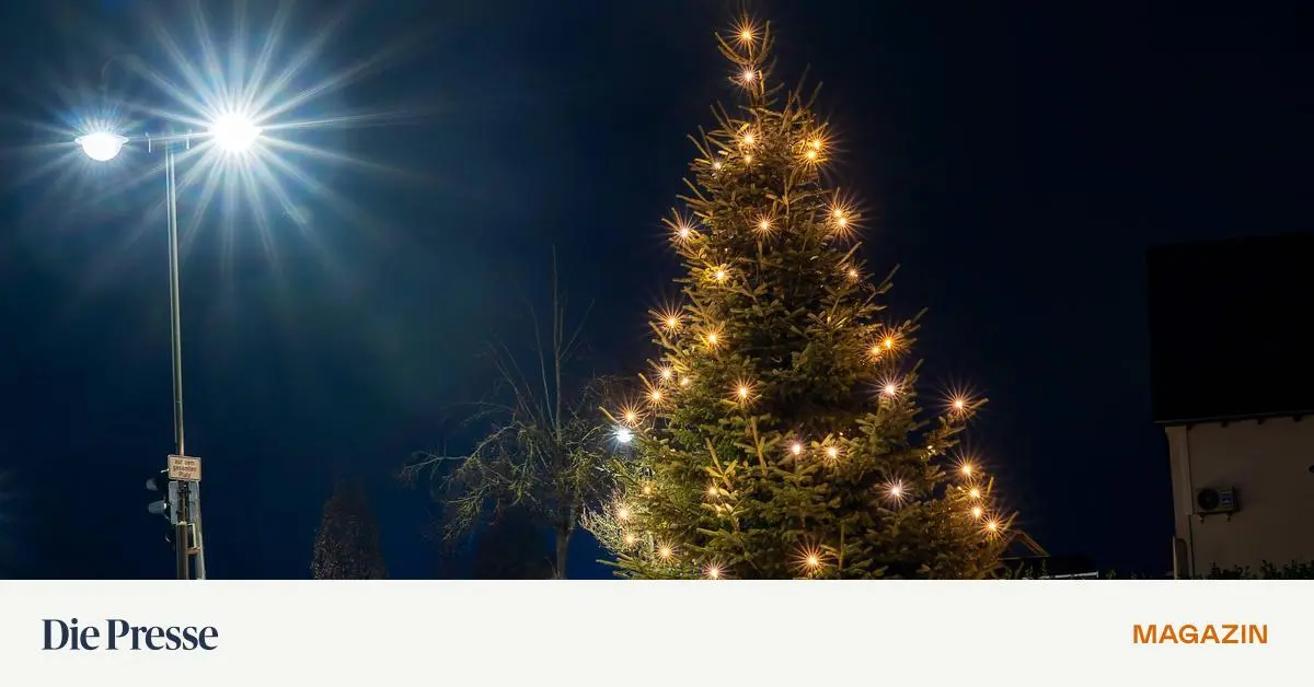 F-r-alle-weihnachtlichen-Stimmungslagen-drei-Buchtipps-aus-der-Spectrum-Redaktion-premium-