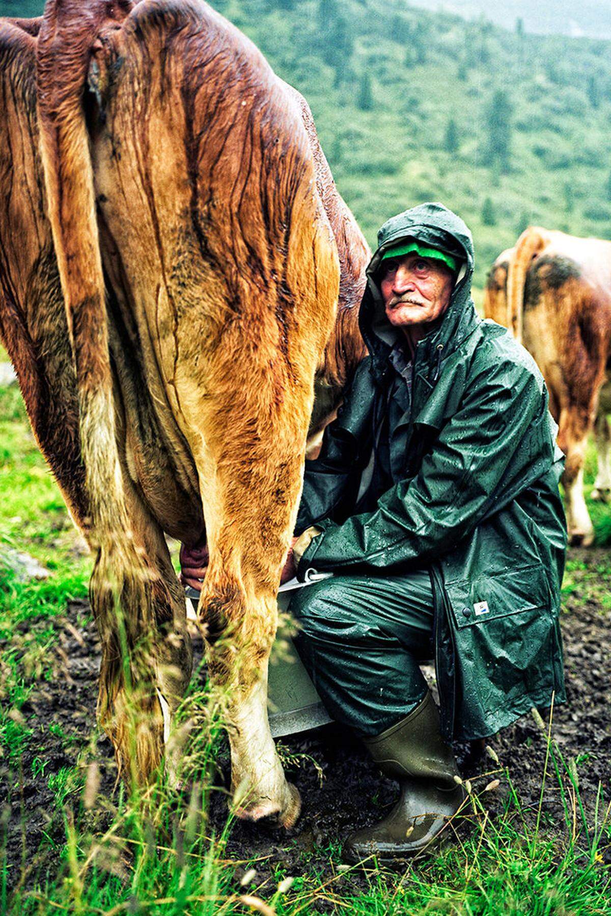 Zweiter wurde Gerhard Heidorn aus Deutschland mit dem Foto eines Bauern mit seinen Kühen im Tiroler Zillertal.