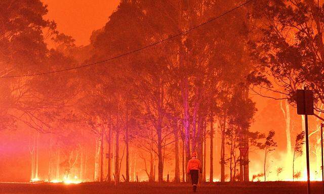 Im australischen Bundesstaat New South Wales toben seit Wochen heftige Buschbrände.