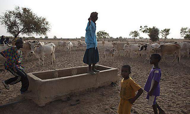 Die Sahel-Zone ist zum dritten mal in sieben Jahren von einer Hungerkatastrophe betroffen.