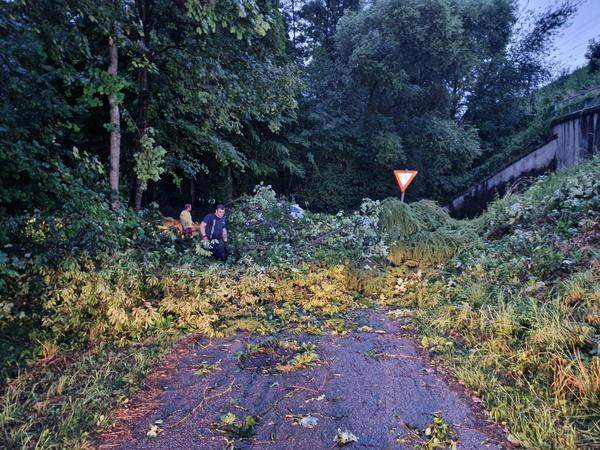 In Niederösterreich stürzten Bäume um und sorgten für kleine Beschädigungen.