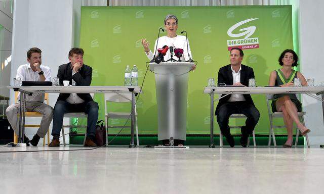 Spitzenkandidatin Ulrike Lunacek beim Erweiterten Bundesvorstand der Grünen