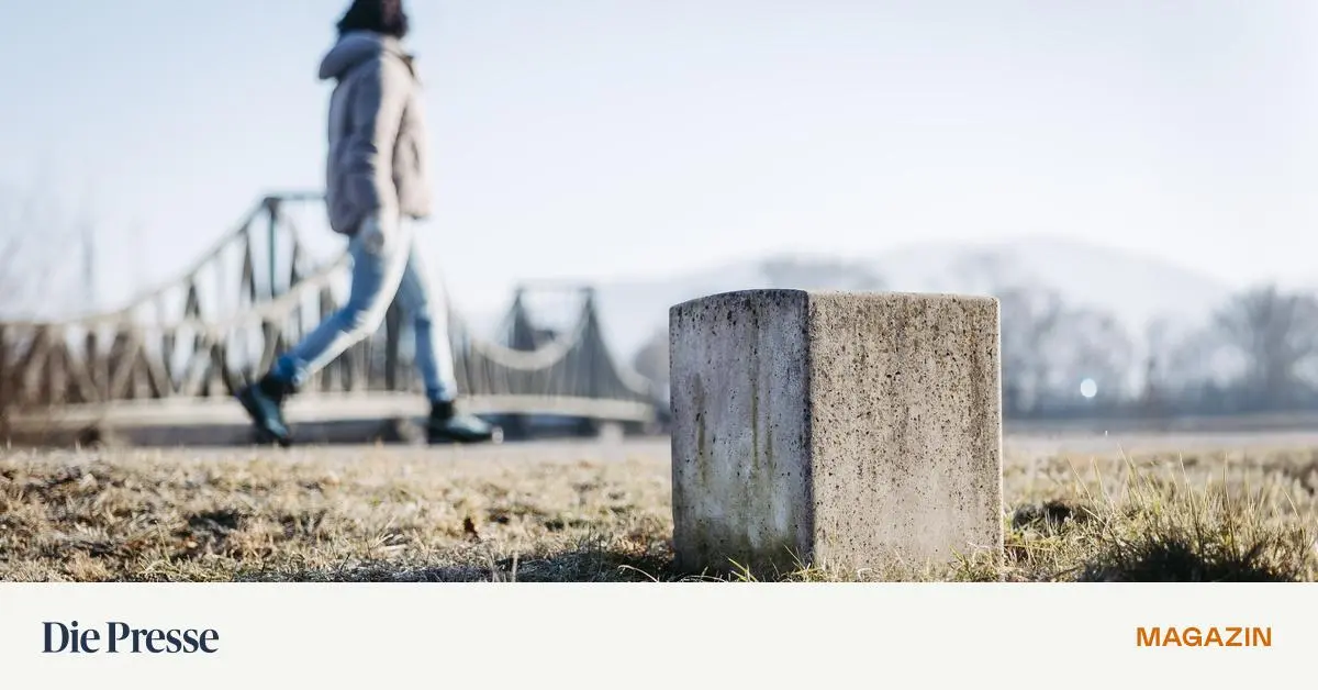 -Die-Schweiz-die-Friedensinsel-Erinnerungen-an-die-Flucht-vor-den-Nazis-premium-