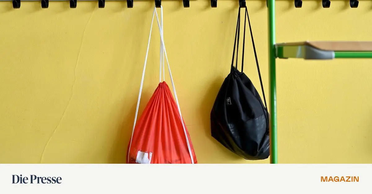 Kind-zu-viel-in-der-Schule-zugemutet-Mutter-beh-lt-Obsorge-premium-