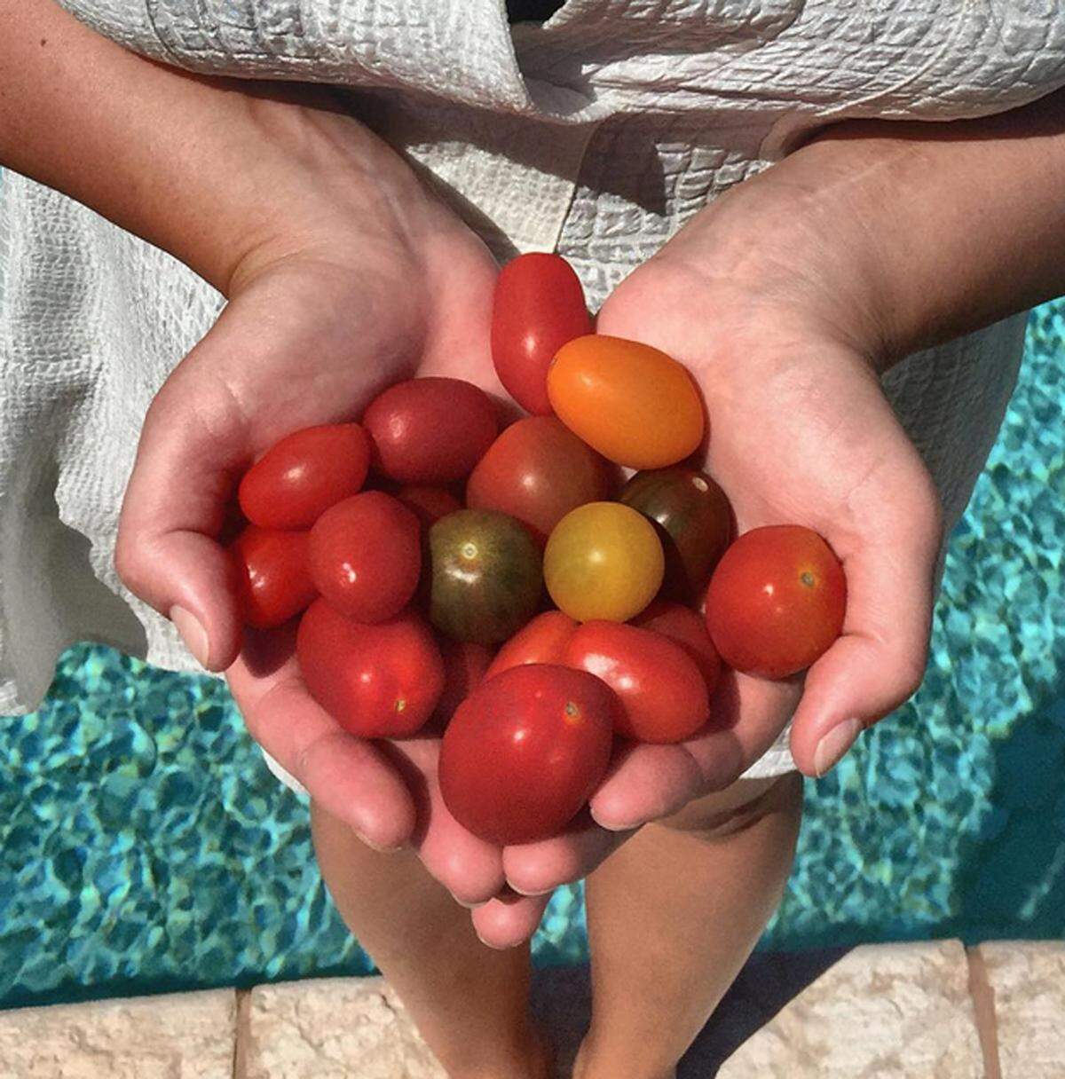 Die roten Früchte enthalten ein Antioxidant namens Lycopin, das die Außenhaut der Tomaten von dem Sonnenlicht schützt. Wer den Sommer nicht ohne Sonnenschäden übersteht, sollte deshalb häufig Tomaten essen. Am besten wirkt die Aufnahme übrigens, wenn man zu Tomatensaft oder Suppe greift. 