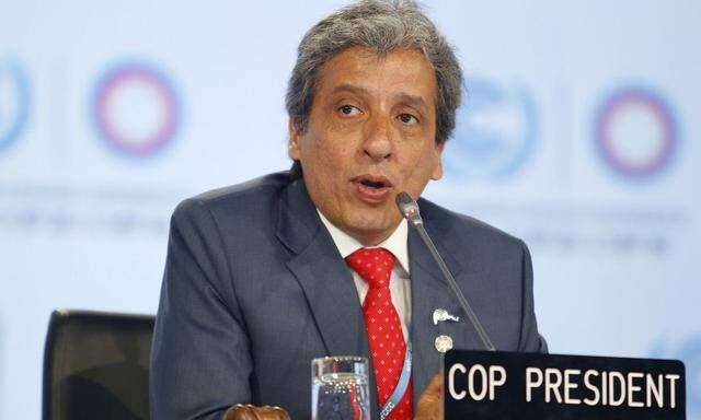 Perus Umweltminister und Gipfelpräsident Manuel Pulgar Vidal