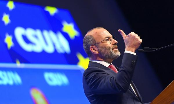 Der Vorsitzende der Europäischen Volkspartei, Manfred Weber, hält die rechtspopulistische AfD für die europafeindlichste Partei in der EU.