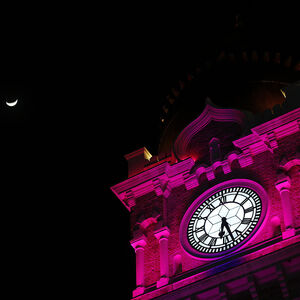 Heuer werden auch erstmals in Österreich Gebäude lila beleuchtet, um auf den Internationalen Tag der Menschen mit Behinderung aufmerksam zu machen.