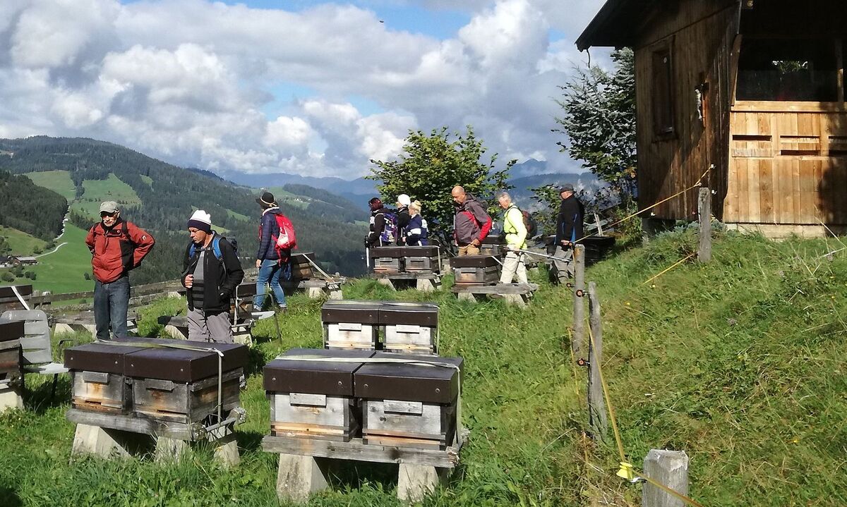 Ein beliebtes Wanderziel: Die Bienenstöcke in der Wildschönau.