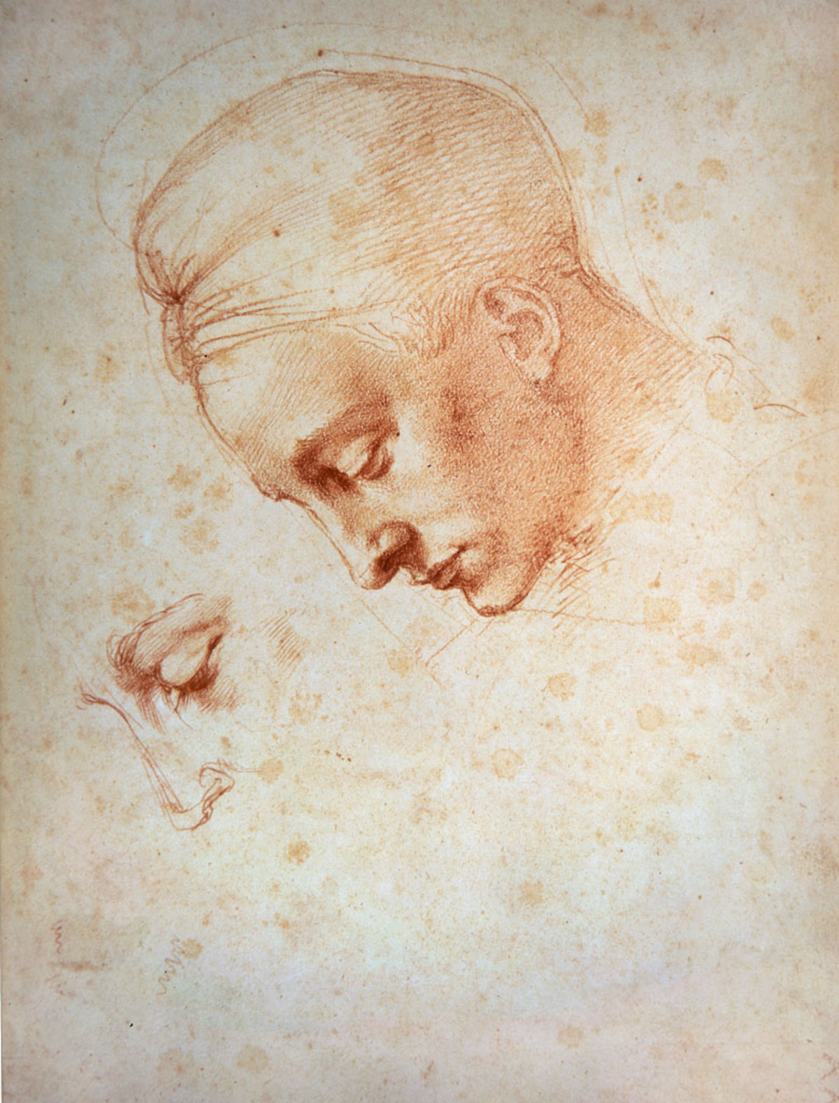 Aus dieser Prägung des modernen Künstlerbegriffs leite sich auch der Untertitel "Zeichnungen eines Genies" ab. Denn gerade in der Zeichnung als "Verdichtung der Idee eines Kunstwerkes" käme "das Ganze" des genialen Künstlers zum Tragen, unterstrich Schröder. Im Bild: Studie eines gesenkten Kopfes sowie Detail der Augenpartie, 1529/30