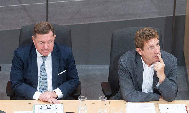Achitz und Amon bei einer Sitzung des Nationalrats im Juni.