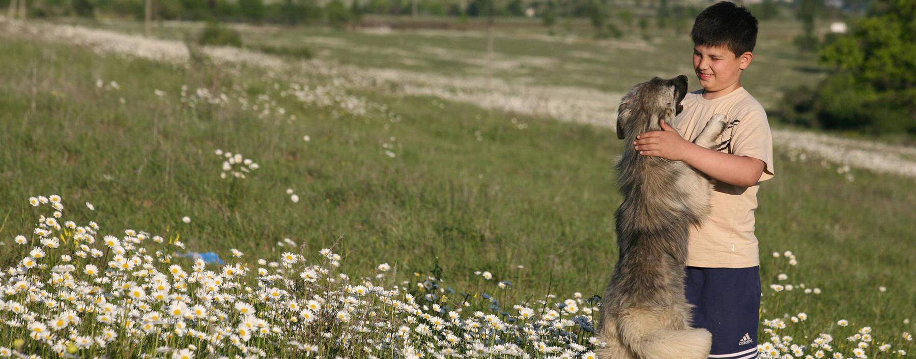 Bub spielt mit einem Hund in Südossetien.