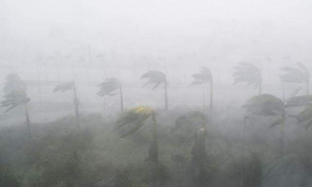 Ein Bild von "Irma" in Miami.