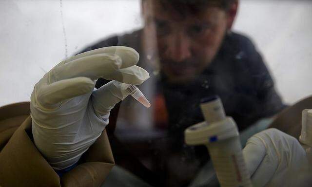 Ein Mediziner untersucht eine Blutprobe auf das Ebola-Virus in Gueckedou, Guinea.