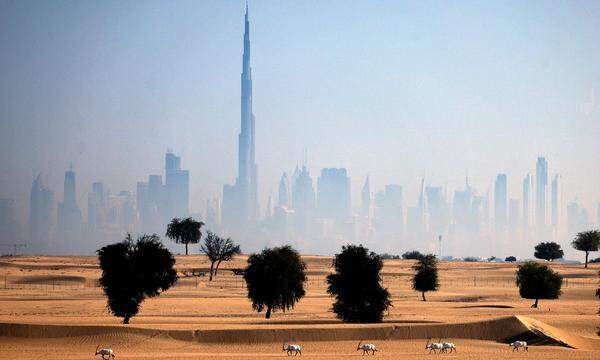 Anfang Dezember findet in Dubai die COP28 statt. Die Hoffnungen auf große Durchbrüche sind klein. 