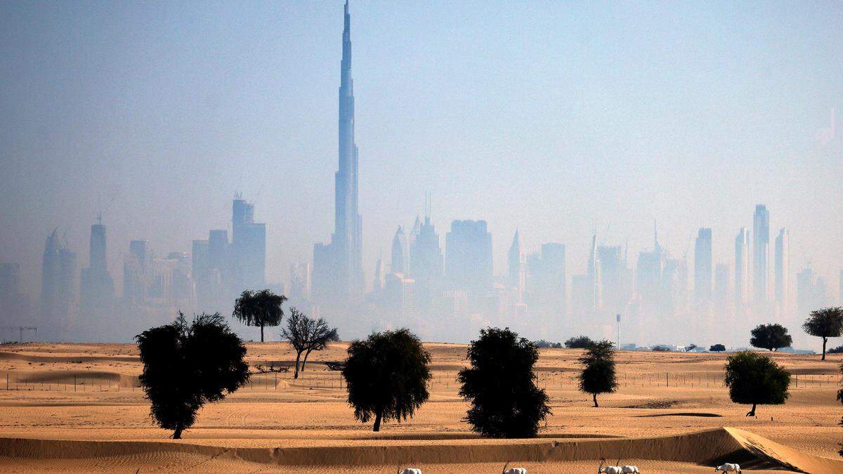 Anfang Dezember findet in Dubai die COP28 statt. Die Hoffnungen auf große Durchbrüche sind klein. 