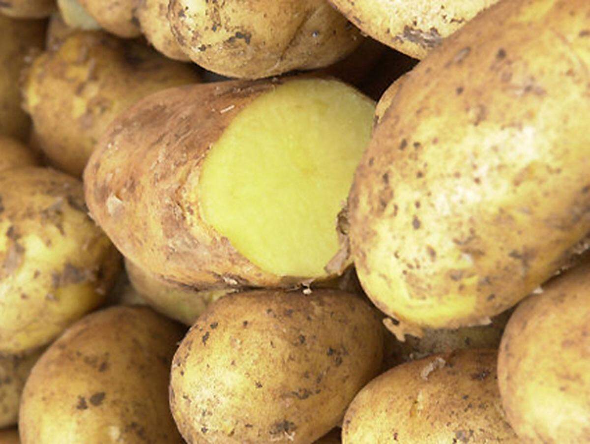Als Kolumbus – oder wer auch immer – die Kartoffel importierte, hatte er sich das sicher anders vorgestellt: Interspar verkauft nun an der Kassa Einkaufssackerln, die aus Kartoffeln hergestellt sind. Und wirbt damit, dass es „gentechnikfreie“ Kartoffeln wären, also die, die wir üblicherweise zu verspeisen pflegen. Das Land Steiermark lässt sich die Kartoffel-Zweckentfremdung 10.000 Euro kosten. Als „Umwelt-Förderung“. Schließlich kann man das Sackerl als Bio-Müllbeutel verwenden. Als Kompost würde es nach 40 Tagen verrotten. Ein schlechtes Geschäft! Das Sackerl kostet 29 Cent. Da loben wir uns das robuste Plastiksackerl für 21 Cent. Das hat sich nach 450 Tagen im Kompost gerade mal zur Hälfte aufgelöst.