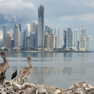 Offshore-Destinationen in der Karibik wie hier Panama-City, kommen bei Datenleaks in der Finanzbranche regelmäßig vor. 