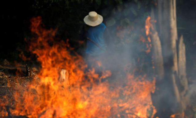 Ein Bild von den Bränden im Amazonas-Gebiet vom 21. August.