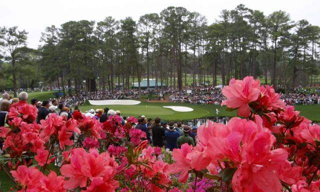 Blooming azaleas are seen near the 16th green during a practice round for the 2008 Masters golf tournament at the Augusta National Golf Club in Augusta