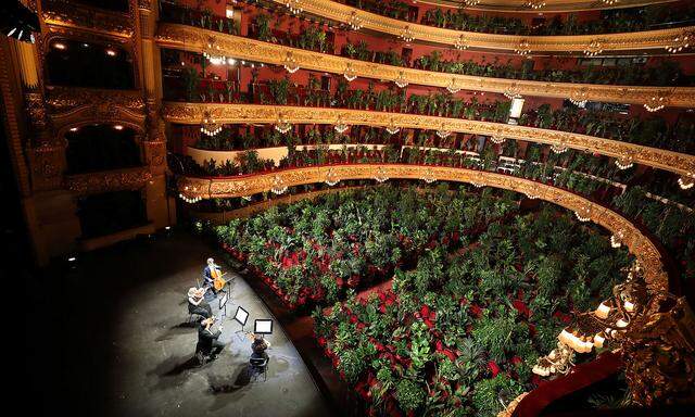Hier im Bild (Oper von Barcelona) wurde nicht vor leeren Sitzplätzen gespielt, sondern vor Topfpflanzen.