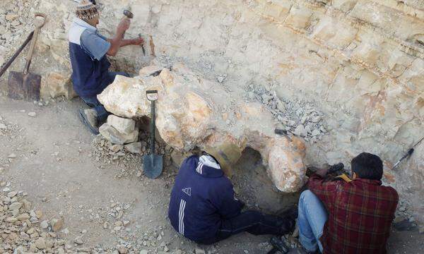 Ausgrabungen in Peru brachten ein besonders schweres Skelett zutage.