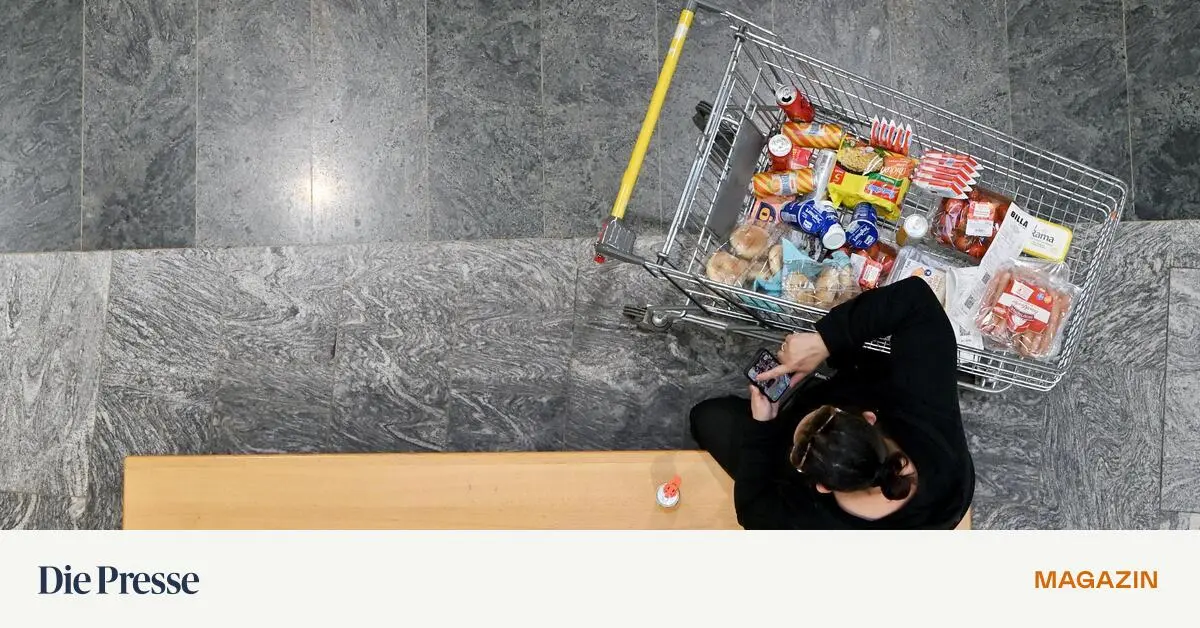 Wie-Lebensmittelpreise-entstehen-Was-passiert-vor-dem-Weg-zur-Kassa-premium-