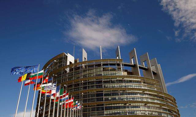 FILE PHOTO: Flags of the European Union and its member states fly in front of the building of the European Parliament in Strasbourg