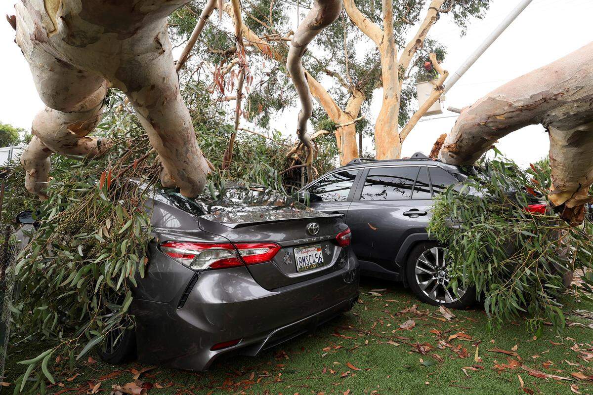 21. August. Ein umgestürzter Baum liegt über zwei Autos nach dem Tropensturm Hilary in Sun Valley in Kalifornien.