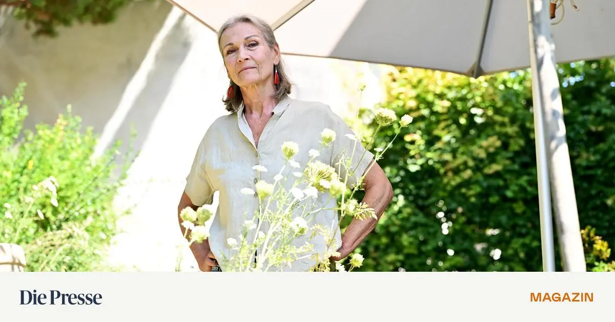 Psychische-Probleme-durch-Hitze-Wir-rasen-darauf-zu-premium-