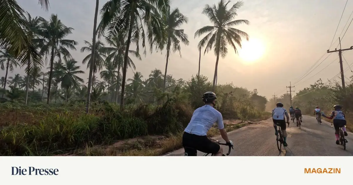 Mit-dem-Rennrad-in-Thailand-Winterradfahren-wie-ein-K-nig-premium-