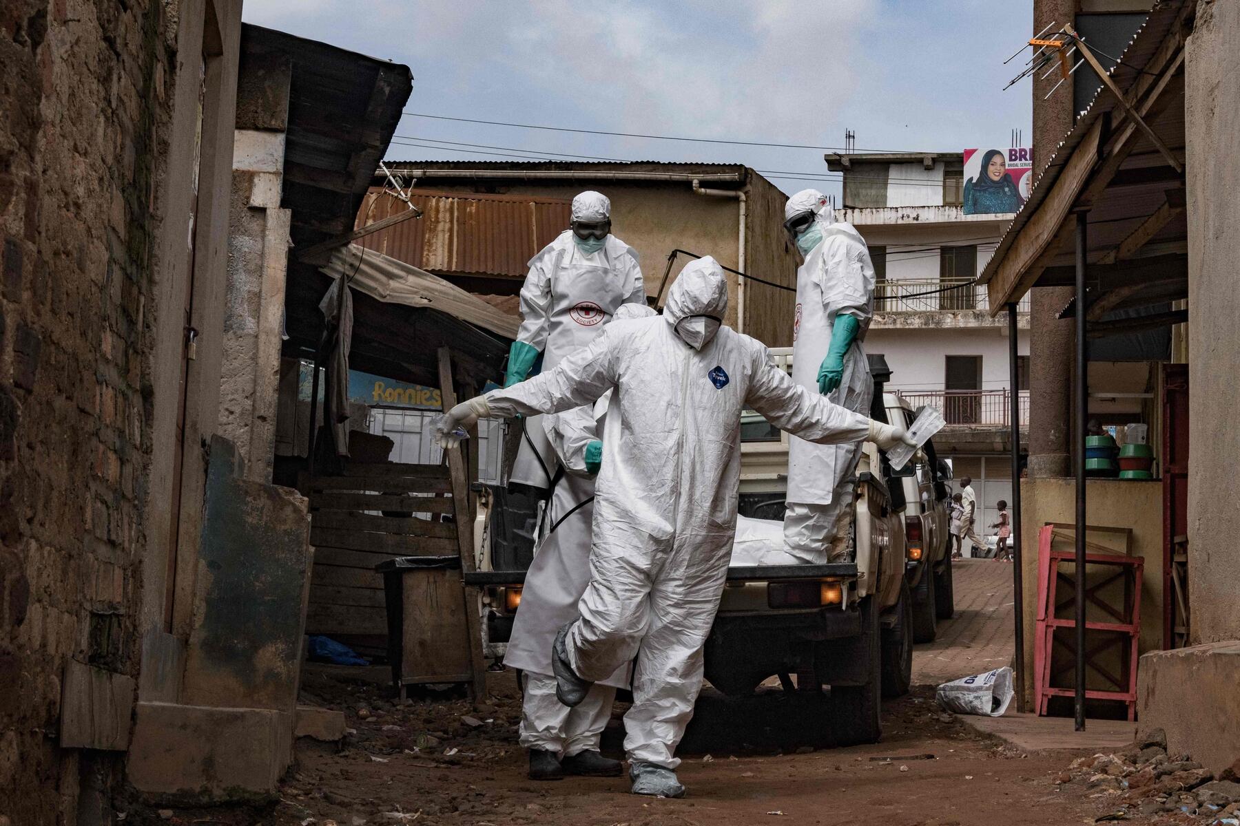 Welche Rezepte hat die EU gegen Hanta und Ebola? [premium]