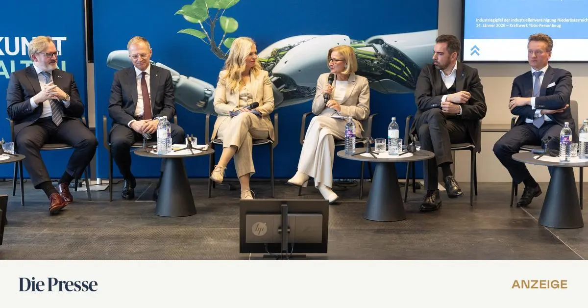 Die-Industriestrategie-ist-ein-positiver-Schritt-jetzt-braucht-es-eine-Standortreform