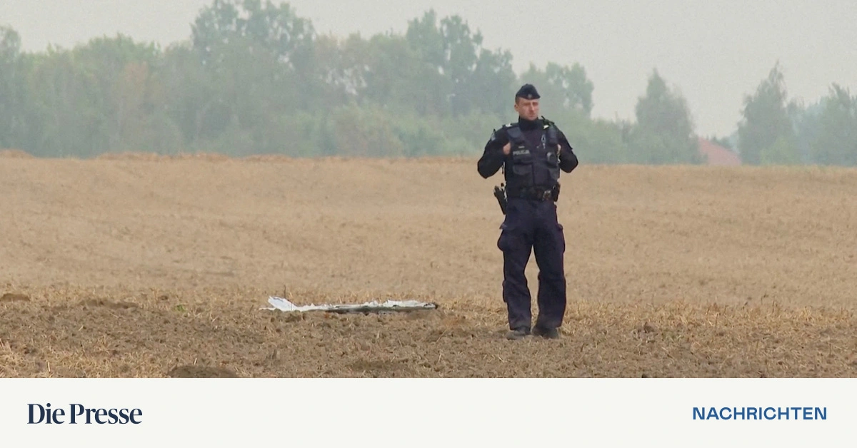 Polen-bestellt-Abwehrsystem-zur-Bek-mpfung-von-Drohnen