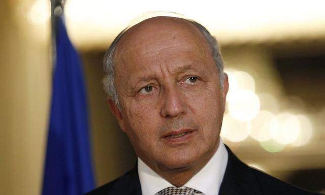 French Foreign Affairs Minister Fabius speaks during a news conference with Iraq's Deputy PM for Energy al-Shahristani in Baghdad