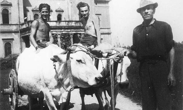 Die jungen Juden der Villa Emma halfen dem Bauern Ernesto Leonardi (rechts im Bild) bei der Feldarbeit.