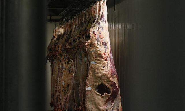 Beef carcasses hang at a cold room at the Biernacki Meat Plant Biernacki slaughterhouse in Golina near Jarocin