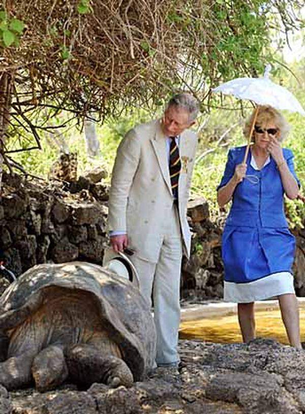 Der britische Thronfolger ist als Dank für sein Umwelt-Engagement zum Ehren-Parkwächter des Naturschutsgebiets der Galapagos-Inseln ernannt worden. Mit seiner Frau Camilla besuchter er in Puerto Ayora die Forschungsstation "Charles Darwin". Eine weitere Station war eine Zuchtstation für Riesenschildkröten, wo Prinz Charles ein Neugeborenes auf den Namen "Williams" taufte.