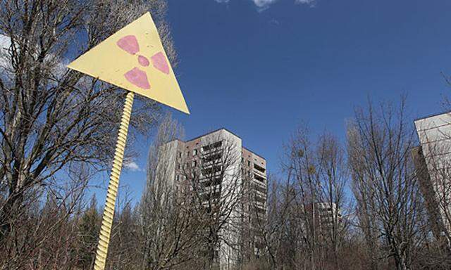 Ukraine stoppt TschernobylReisen fuer