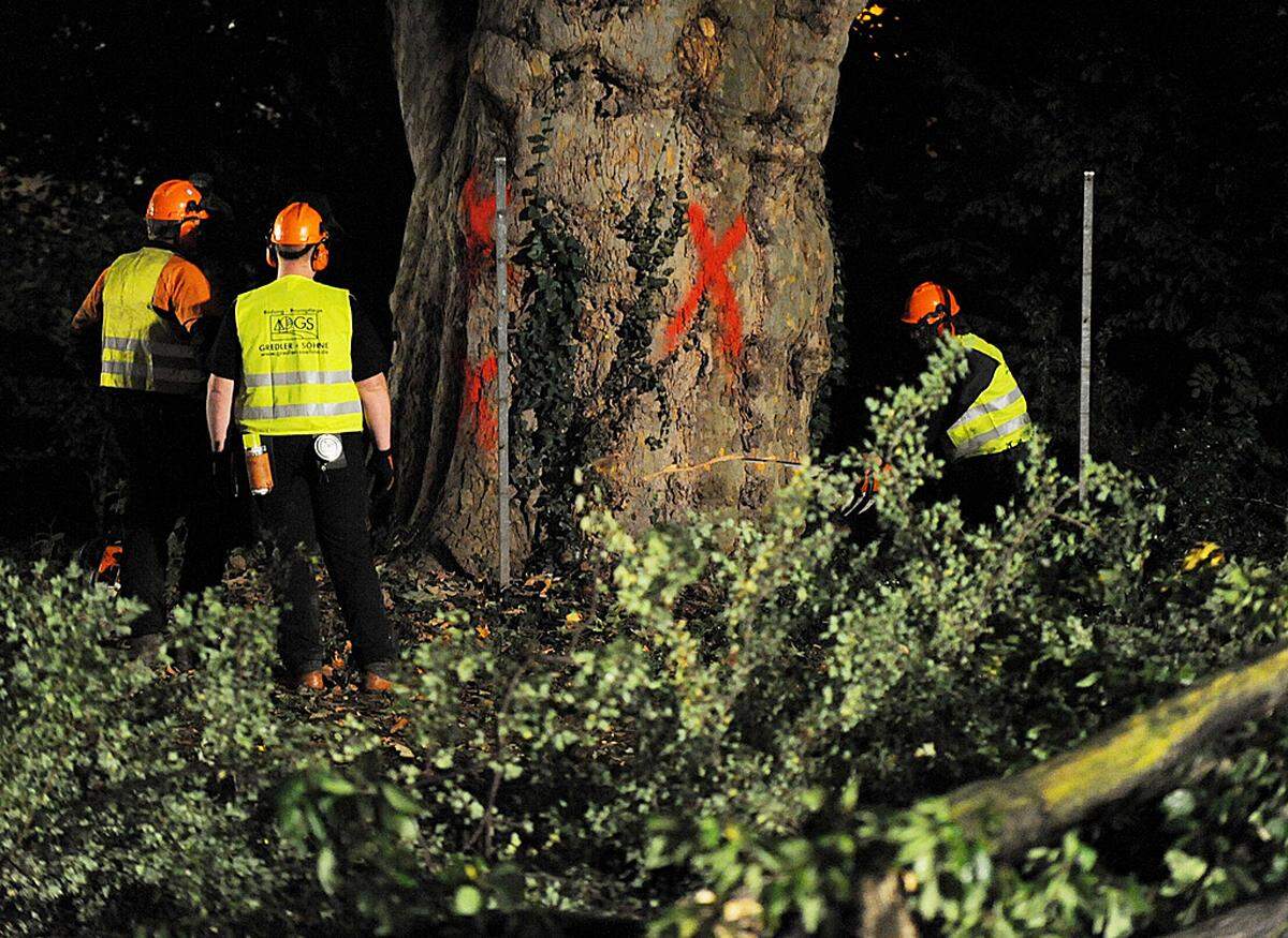 Kurz vor 1 Uhr wurden unter großem Protest die ersten Bäume im Schlossgarten gefällt. Vor der wöchentlichen Demonstration am Freitagabend sollten insgesamt 25 Bäume im Schlossgarten fallen. Neun Demonstranten haben am Abend versucht, die Baumkronen zu besetzen, wurden aber weggebracht.