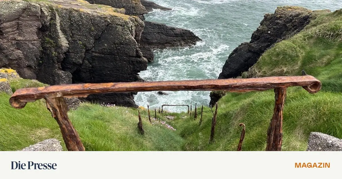 Am-Anfang-war-eine-gesch-tzte-Bucht-Spurensuche-im-S-dosten-von-Irland-premium-