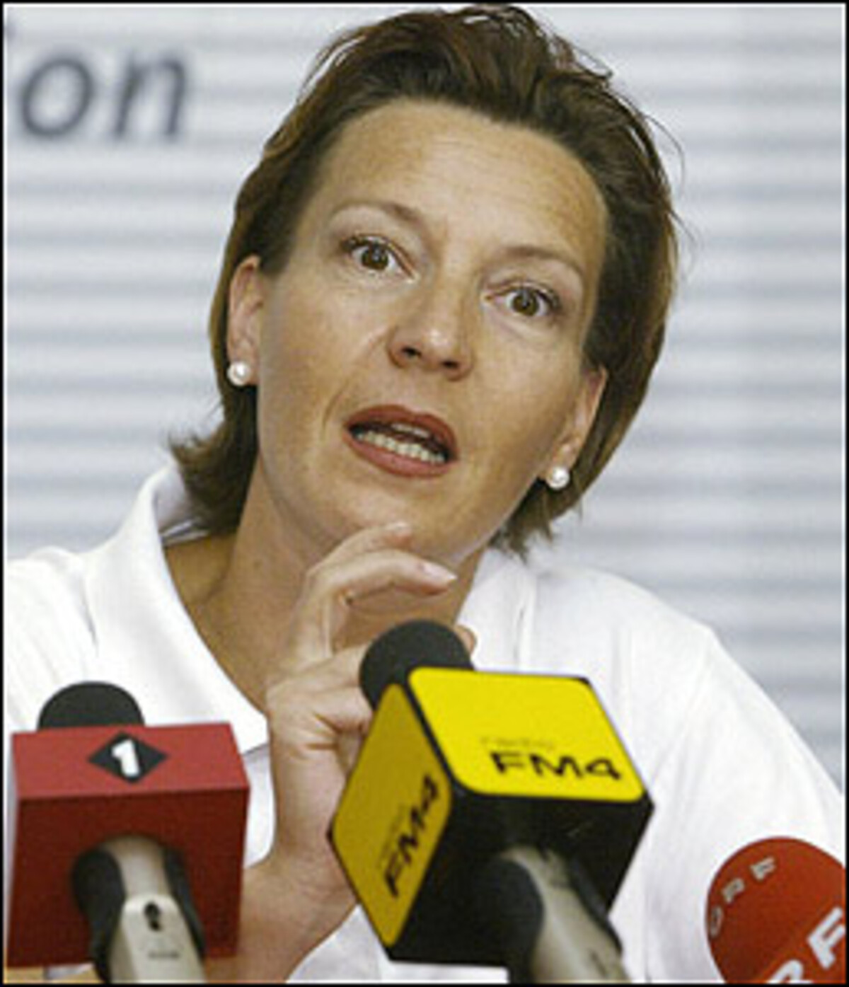 Hoffnungen können sich NÖ-Landesrätin Christa Kranzl und Nationalratsabgeordnete Gabriele Heinisch-Hosek (Bild) machen.